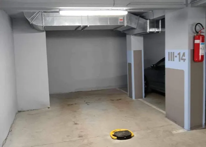 Nord - Kraljevi Cardaci * 科帕奥尼克